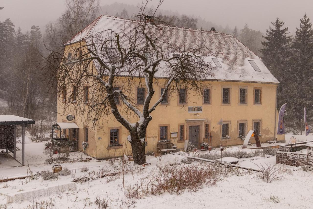 Holzwerk Oybin Apartman Kültér fotó