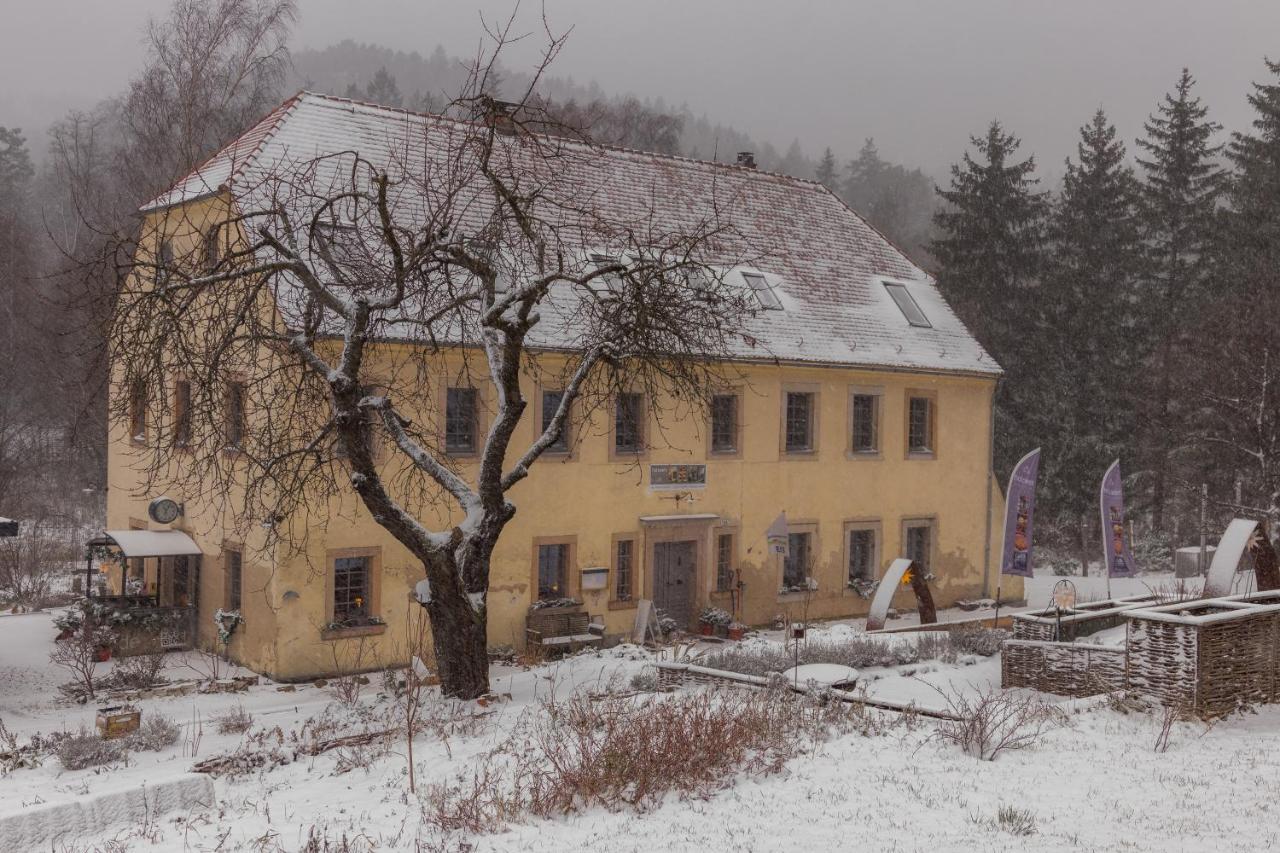 Holzwerk Oybin Apartman Kültér fotó